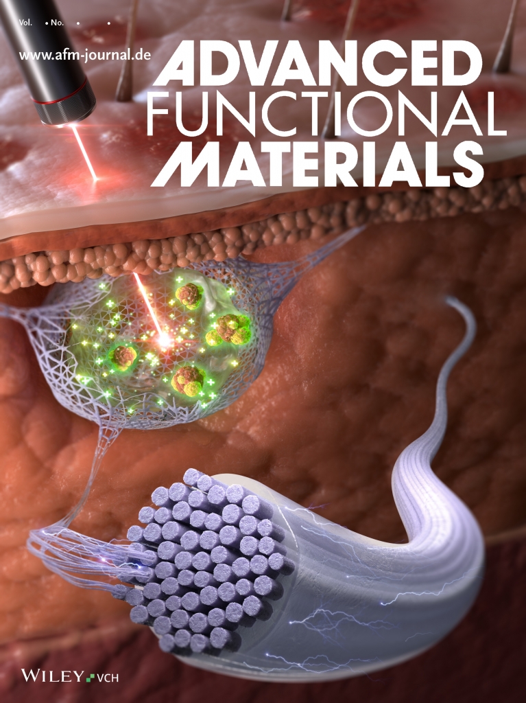 ADVANCED FUNCTIONAL MATERIALS 2026