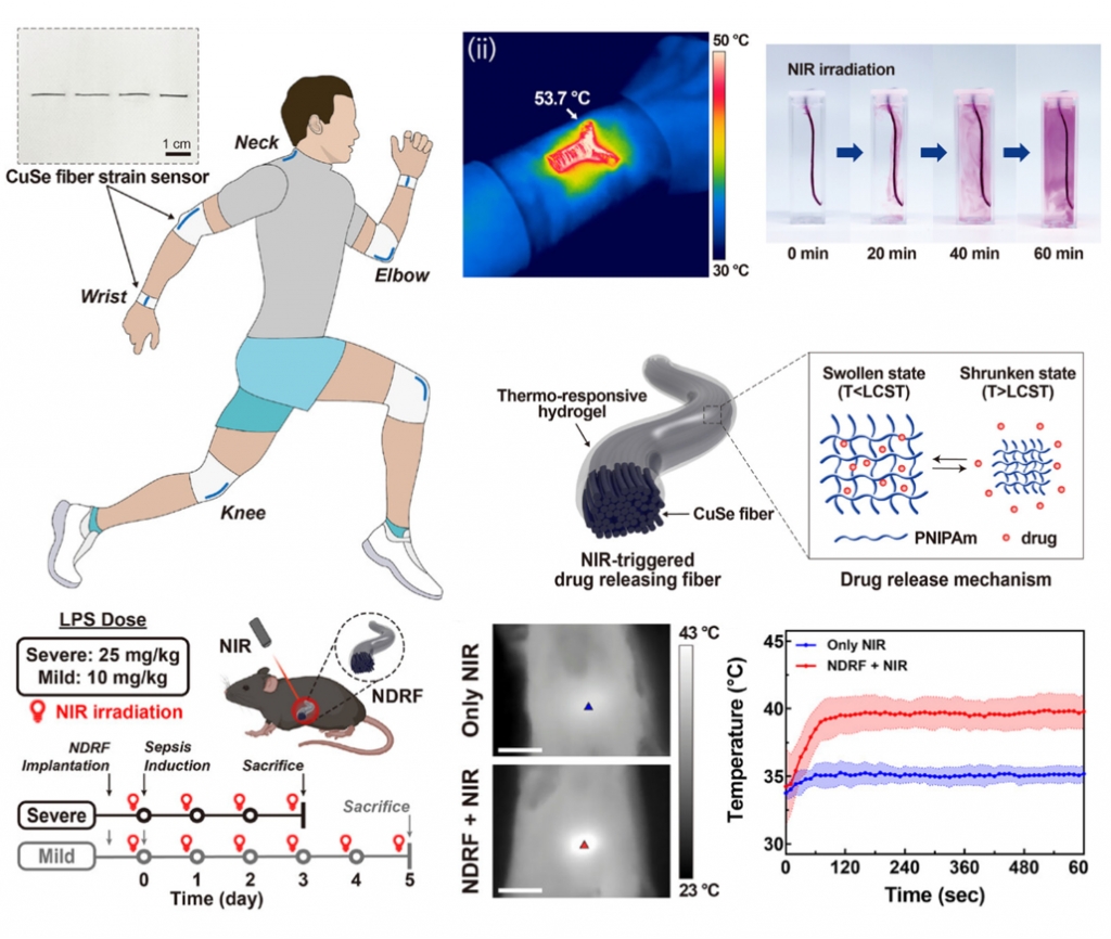 Highly Conductive and Stretchable Photothermal CuSe Fiber for Wearable Electronics and Implantable Drug Release Systems