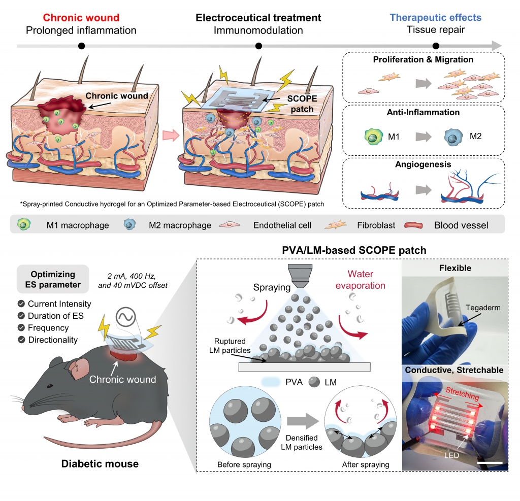 Optimized Electrical Stimulation Using a Spray-Printed Conductive Electroceutical Patch for Accelerated Wound Healing in Diabetic Mice