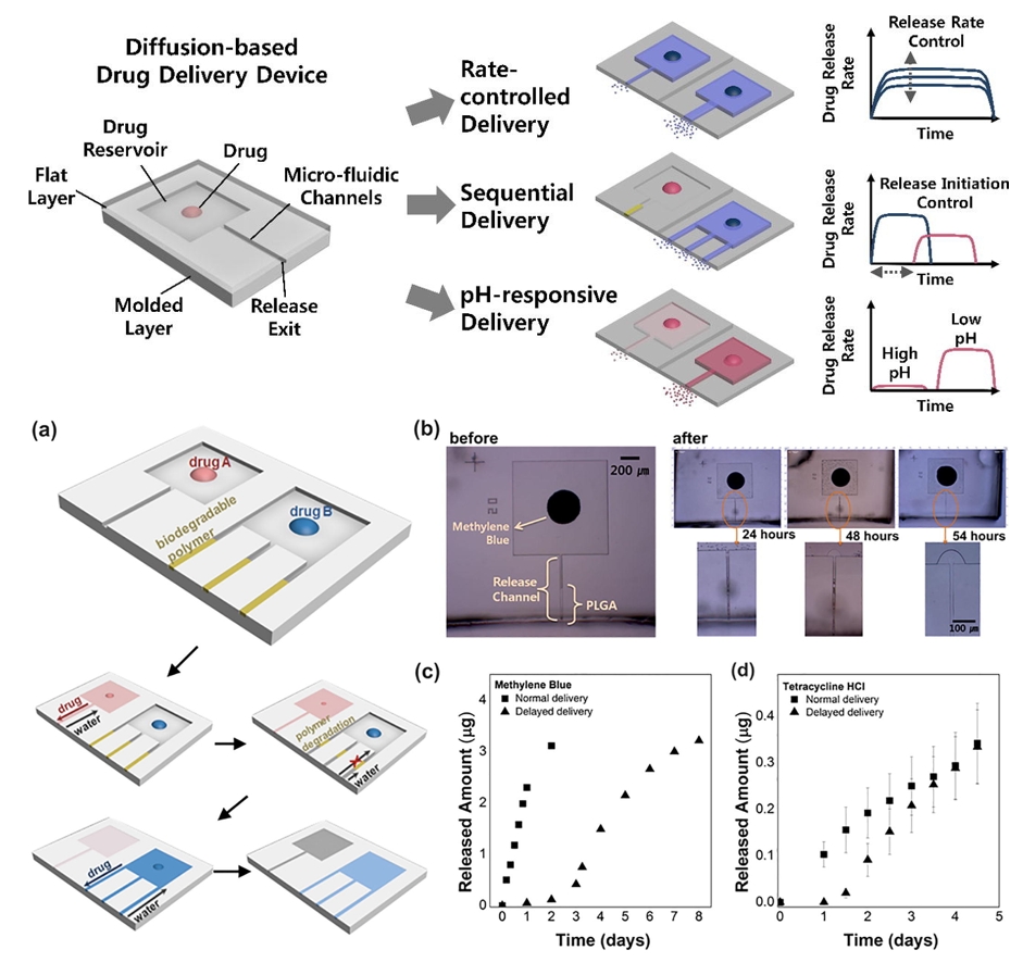 Microchannel System for Rate-Controlled, Sequential, and pH-Responsive Drug Delivery.