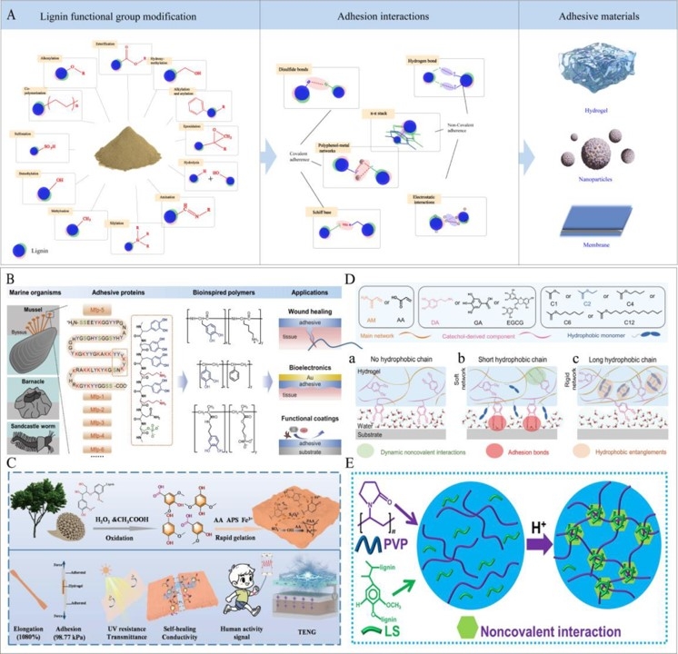 A Comprehensive Review of Unlocking the Potential of Lignin-Derived Biomaterials: from Lignin Structure to Biomedical Application