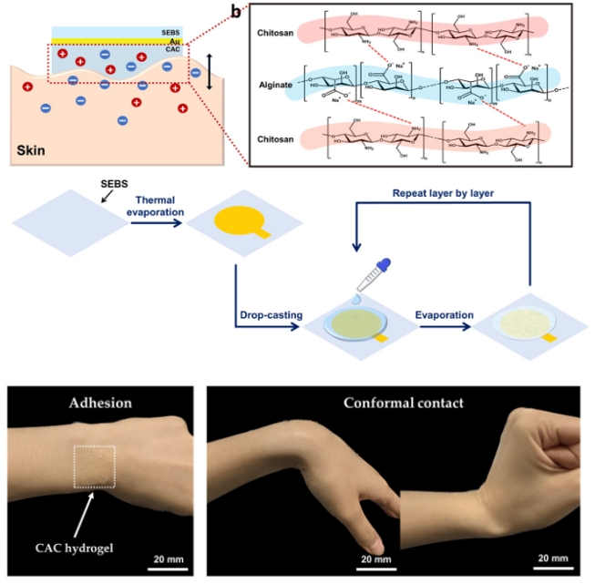 Stretchable Gold Nanomembrane Electrode with Ionic Hydrogel Skin-Adhesive Properties.