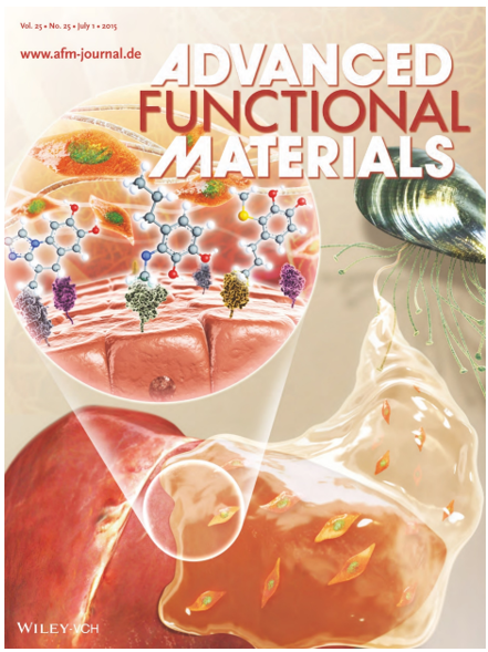 ADVANCED FUNCTIONAL MATERIALS 2015
